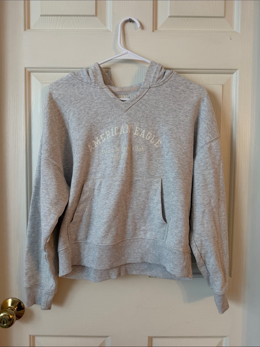American Eagle Outfitters Heather Gray Hooded Sweatshirt